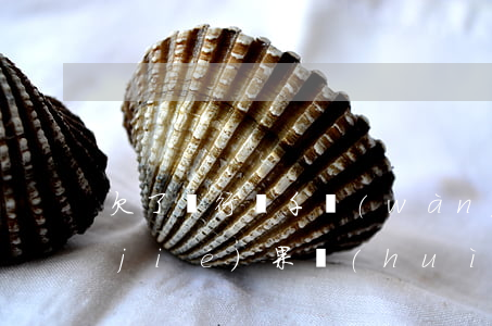 欠了銀行幾千萬(wàn),還不起,最終結(jié)果會(huì)怎樣？解決辦法是什么？